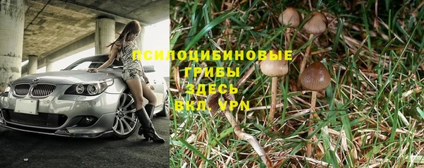 ALPHA PVP Медногорск