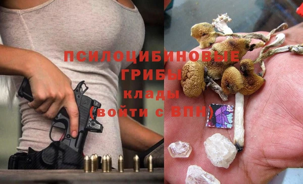 ECSTASY Мегион