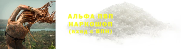 спиды Медвежьегорск