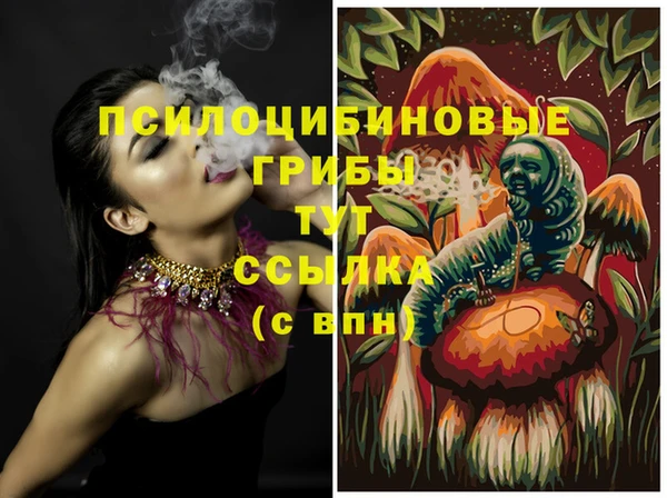 ALPHA PVP Медногорск