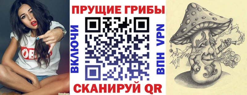 купить наркотик  Зарайск  Галлюциногенные грибы MAGIC MUSHROOMS 